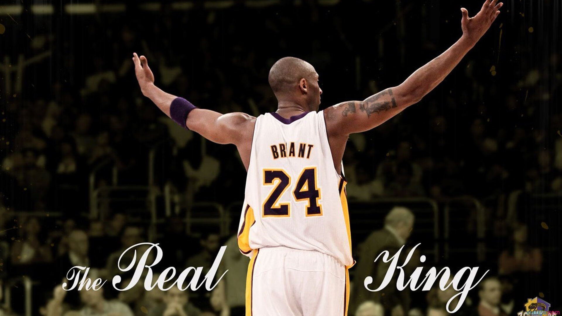 九游娱乐-日本队观众热烈欢呼！，穆雷迎来十赛季出色发挥赛场气氛高涨